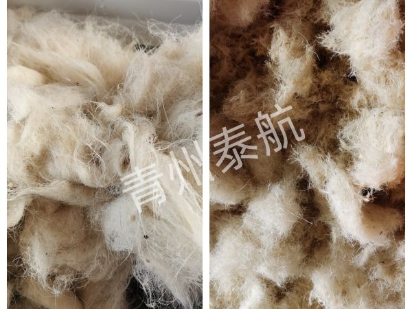 棉絨切斷效果對(duì)比